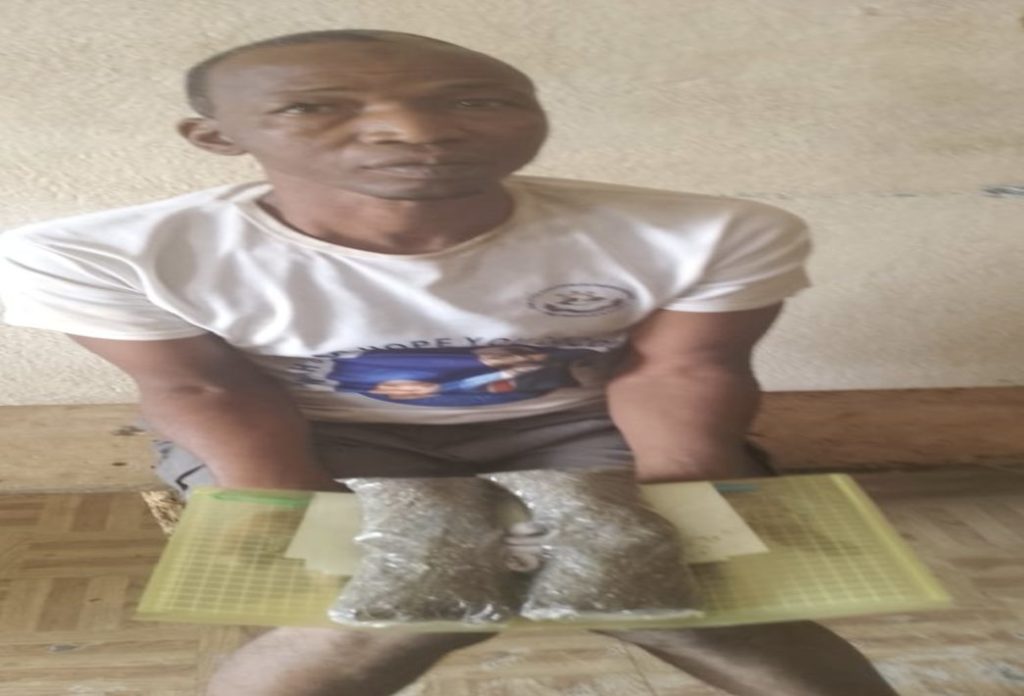 LDEA Arrests Fulani with Huge Quantity of marijuana