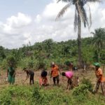 How Women Contribute to Food Production in Liberia