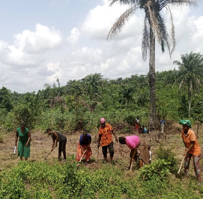 How Women Contribute to Food Production in Liberia