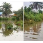 Flooding Causes Chaos in Ganta