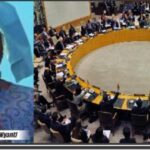“The UN Needs To Lead By Example”