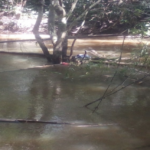 Missing Man Remains Found In Nimba
