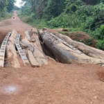 How Rural Liberian Community Struggles with Healthcare, Education, Road Access