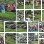 Farmers Hail CHAP, Concern Worldwide for Farming Transformation