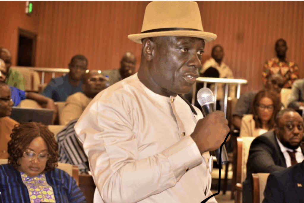 Nimba Representative Calls for Implementation of Local Governance Act