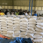 Women-Led Cooperatives Drive Rice Revolution 