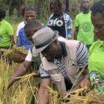 MOA Calls for Partnership to Turn Agricultural Gains into Jobs