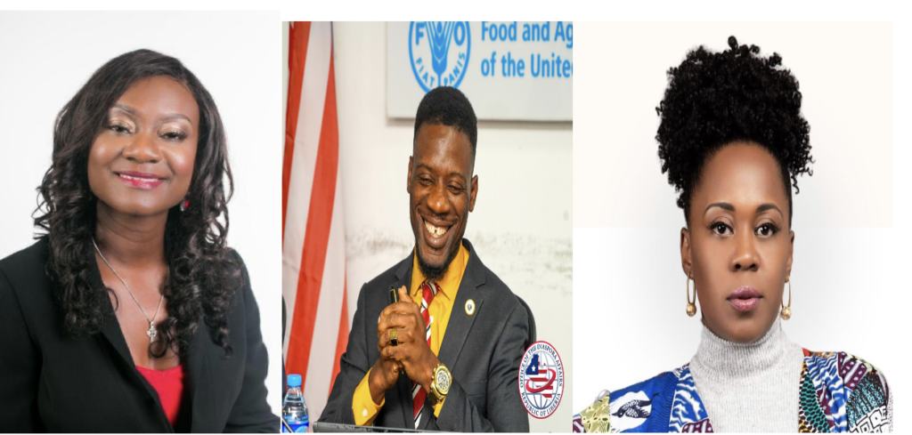 Liberia Prepares for Diaspora Annual Return 2026