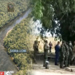 “Liberia Has Had Enough of War”