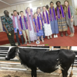 U.S. Experts to Launch Modern Dairy Farm Project