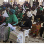 Domafiegn, Partners Champion Feminism in Gbarpolu
